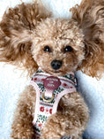 Load image into Gallery viewer, Bella's Jumper Dog Collar + Tag Holder: Medium