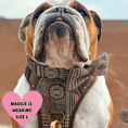 Load image into Gallery viewer, Trail & Glow Tweed Dog Harness - Colour Drops - Heritage Plaid: L