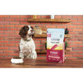 Load image into Gallery viewer, Cooper & Co Fussy Salmon with Spinach and Fennel 1.5kg