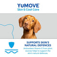 Load image into Gallery viewer, YuMOVE Skin & Coat Care Dog Supplement Itch Relief & Healthy Coat Support for Adult Dogs 250ml
