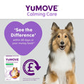 Load image into Gallery viewer, YuMOVE Calming Care for Dogs Adult Dog Stress & Anxiety Support Supplement