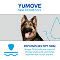 Load image into Gallery viewer, YuMOVE Skin & Coat Care Dog Supplement 500ml Moulting Support for Adult Dogs
