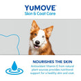 Load image into Gallery viewer, YuMOVE Skin & Coat Care Dog Supplement 500ml Moulting Support for Adult Dogs
