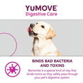 Load image into Gallery viewer, YuMOVE Digestive Care PLUS Dog Supplement Probiotic & Digestive Support 6 Sachets