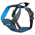 Load image into Gallery viewer, CarSafe Crash Tested Harness
