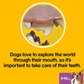 Load image into Gallery viewer, Pedigree DentaStix Daily Dental Chews Small Dog 7 Sticks