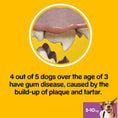 Load image into Gallery viewer, Pedigree Dentastix Fresh Daily Dental Chews Small Dog 7 Stick