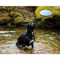 Load image into Gallery viewer, Chuckit! Paraflight Large