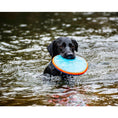 Load image into Gallery viewer, Chuckit! Paraflight Large
