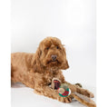 Load image into Gallery viewer, Joules Pheasant Dog Toy