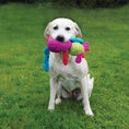Load image into Gallery viewer, Rosewood Chloe Cow Plush Dog Toy