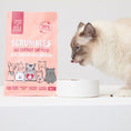 Load image into Gallery viewer, Scrumbles Dry Cat Food Adult Salmon 750g