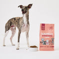 Load image into Gallery viewer, Scrumbles Dry Dog Food Adult Salmon 2kg