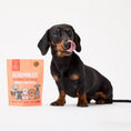 Load image into Gallery viewer, Scrumbles Dog Treats Softies Chicken and Duck Training Treats 90g Case of 8