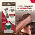Load image into Gallery viewer, TropiClean Enticers Dental Ball Kit for Small Dogs Smoked Beef Brisket Flavour