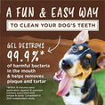 Load image into Gallery viewer, TropiClean Enticers Dental Ball Kit for Medium Dogs Smoked Beef Brisket Flavour