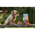 Load image into Gallery viewer, Cooper & Co Adult Turkey with Sweet Potato and Carrots 1.5kg