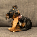 Load image into Gallery viewer, Bamboodles Fish Puppy and Moderate Chewers Small