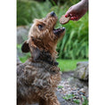 Load image into Gallery viewer, Doodles Deli Air Dried Beef Burgers 1Kg