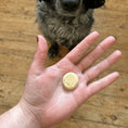 Load image into Gallery viewer, Beco Dog Treats Insect Protein Snacks 70g Healthy Natural Dog Treats, Case of 10