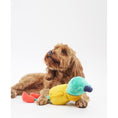 Load image into Gallery viewer, Joules Frog Dog Toy