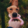 Load image into Gallery viewer, Beco Tugger Natural Rubber Toy Pink