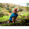 Load image into Gallery viewer, Henry Wag Teal Quilted Dog Jacket Medium 45cm