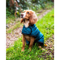 Load image into Gallery viewer, Henry Wag Teal Quilted Dog Jacket Large 55cm