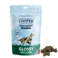 Load image into Gallery viewer, Cooper & Co Semi-Moist Biscuit Glossy Salmon with Spirulina 135g