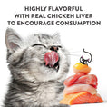 Load image into Gallery viewer, Schesir Baby Thrive High-Calorie Kitten Supplement – Chicken 20x8g