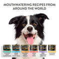 Load image into Gallery viewer, Schesir Taste The World Adult Dog Chicken Thai Coconut 150g