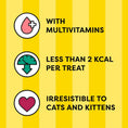 Load image into Gallery viewer, Dreamies Shakeups Seafood Celebrations Cat Treats 55g