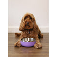 Load image into Gallery viewer, Rosewood Double Wall Stainless Steel Pet Bowl Spill-Resistant, Insulated Lilac