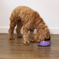 Load image into Gallery viewer, Rosewood Double Wall Stainless Steel Pet Bowl Spill-Resistant, Insulated Lilac