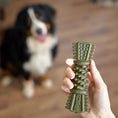 Load image into Gallery viewer, Petello Nobblys Tough Brush Mint 50g Chew Treat for Dogs, Dental Care, Long-Lasting Snack