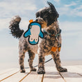 Load image into Gallery viewer, Beco Recycled Dog Toy Rough and Tough Penguin Small Eco-Friendly Durable Chew Toy for Dogs