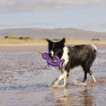 Load image into Gallery viewer, Beco Recycled Rough and Tough Narwhal Toy Large Eco-Friendly Durable Dog Chew & Play Toy