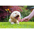 Load image into Gallery viewer, Petello Nobblys Animal Unicorn Strawberry Dog Treats 40g Fun Chew Snack