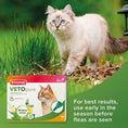 Load image into Gallery viewer, Beaphar VETOpure Cat Spot On 6 Pipette