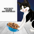 Load image into Gallery viewer, Felix Doubly Delicious Salmon & Vegetables Dry Cat Food 750g