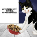 Load image into Gallery viewer, Felix Doubly Delicious Beef Chicken & Vegetables Dry Cat Food 750g