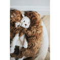 Load image into Gallery viewer, Rosewood My Dog Bear Plush Toy Interactive Soft Dog Toy for Chewing & Play