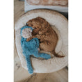 Load image into Gallery viewer, Rosewood My Dog Monkey Plush Toy Interactive Chew & Fetch Dog Toy