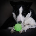 Load image into Gallery viewer, Sportspet Ball Ultimate Glow in the Dark
