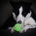 Load image into Gallery viewer, Sportspet Ball Ultimate Glow in the Dark Two Pack