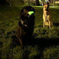 Load image into Gallery viewer, Sportspet Ball Ultimate Glow in the Dark Two Pack