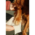 Load image into Gallery viewer, Beco Bamboo Travel Wipes Unscented Plastic-Free Eco-Friendly Pet Cleaning Wipes
