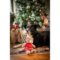 Load image into Gallery viewer, Rosewood Buddy Bear Dog Toy Set Soft Plush Chew & Fetch Toy