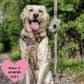 Load image into Gallery viewer, Trail & Glow Tweed Dog Harness - Colour Drops - Heritage Plaid: L