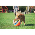 Load image into Gallery viewer, Chuckit! Kick Fetch Small 15cm